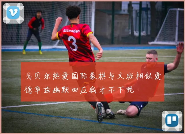 戈贝尔热爱国际象棋与文班相似爱德华兹幽默回应我才不下呢